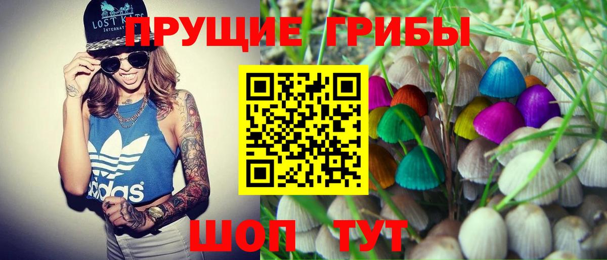 Галлюциногенные грибы мицелий Родники