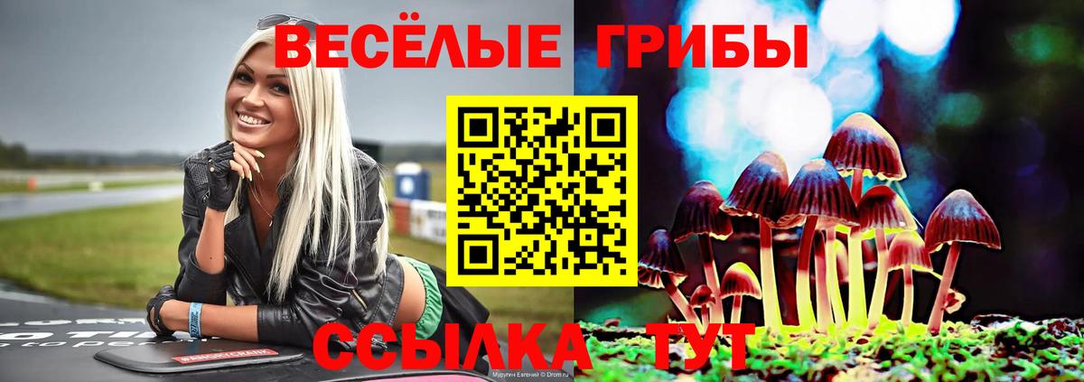 Галлюциногенные грибы мицелий  Вход с VPN  Родники 